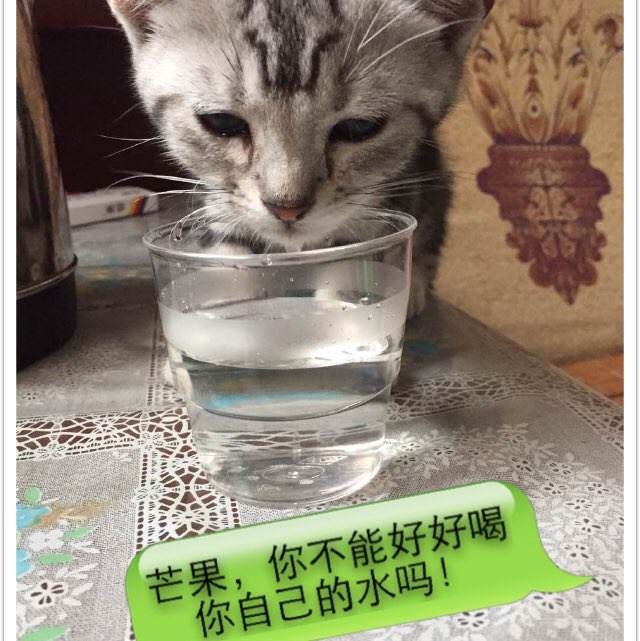 莱德劳学院学位证
